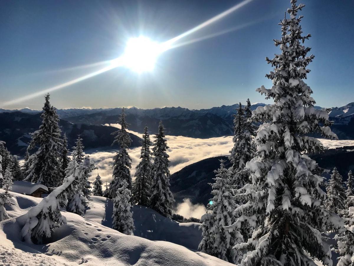 Landhaus Bergner Alm Fusch an der Glocknerstraße Extérieur photo