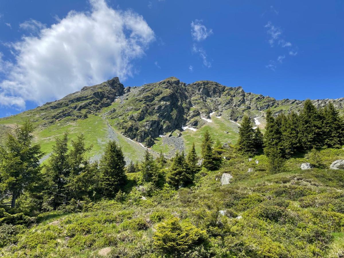 Landhaus Bergner Alm Fusch an der Glocknerstraße Extérieur photo