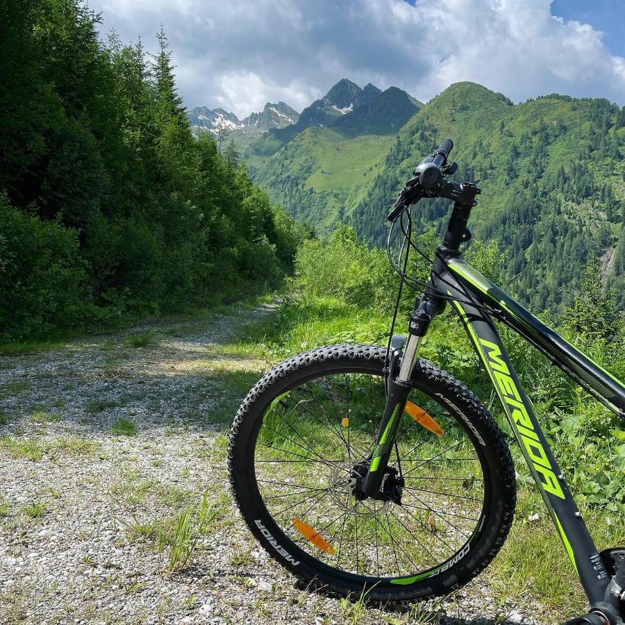 Landhaus Bergner Alm Fusch an der Glocknerstraße Extérieur photo